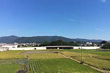 鳴門池田線バイパス道路